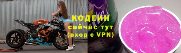 индика Волосово