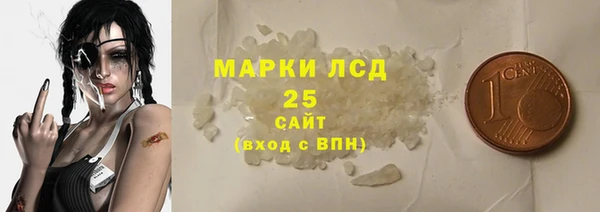 индика Волосово