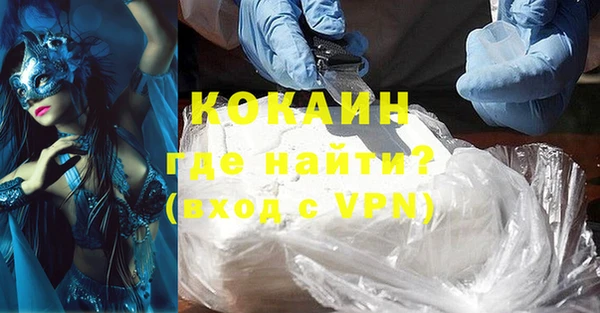 индика Волосово