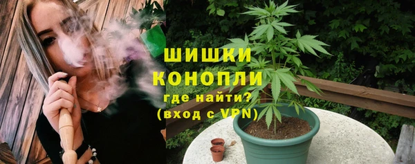 индика Волосово