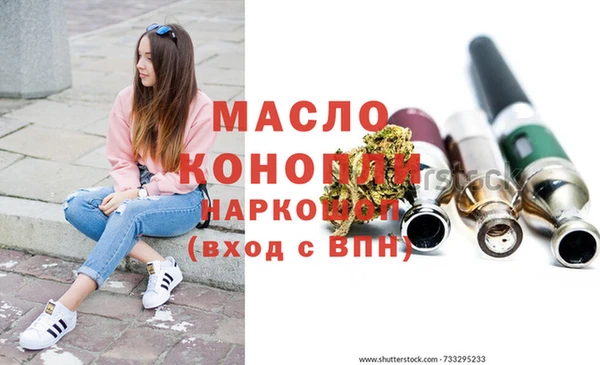 индика Волосово