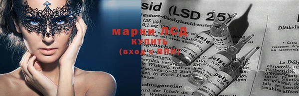 ECSTASY Вяземский