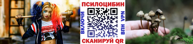 Псилоцибиновые грибы мухоморы Карабаново